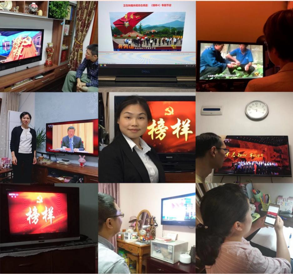E周报5期